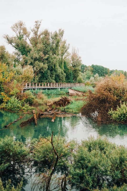 Насос для откачивания ила