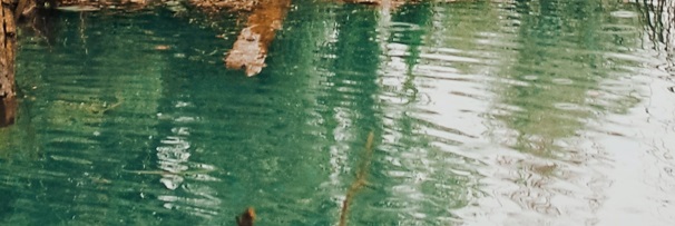 Что нужно знать о насосах для откачивания ила?