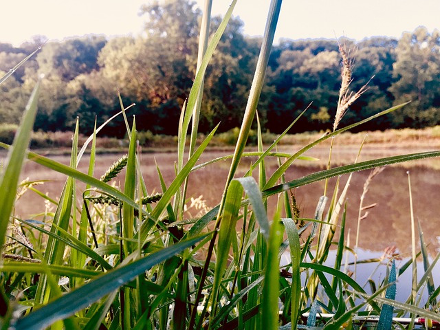 Основные требования для выбора насоса для откачки ила